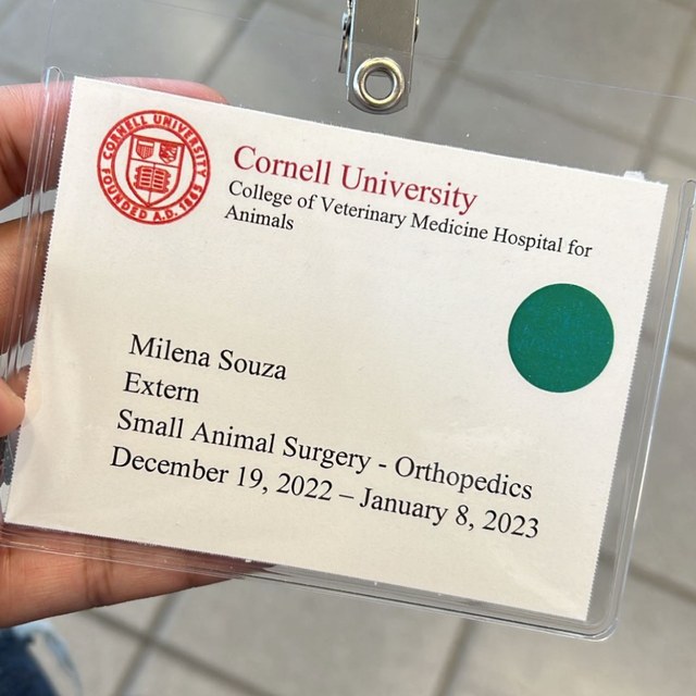 Crachá de extern em Small Animal Surgery na Cornell University
